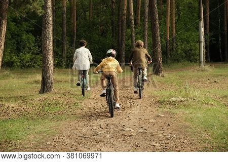 Rear view of active family of young parents and son sitting on bicycles while moving along forest path covered with pinecones and dry needles