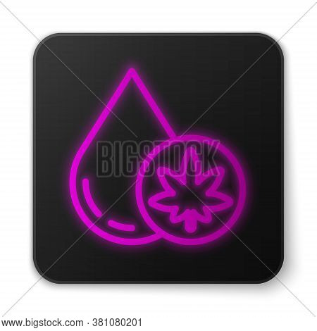 Glowing Neon Line Medical Marijuana Or Cannabis Leaf Olive Oil Drop Icon Isolated On White Backgroun