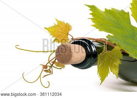 Bottle Of Wine Corc Cap Grape Leaves Branch White Background