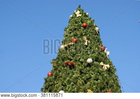 Giant Christmas Tree Against The Blue Sky. Good New Year Spirit.