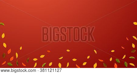 Falling Autumn Leaves. Red, Yellow, Green, Brown Random Leaves Flying. Falling Rain Colorful Foliage