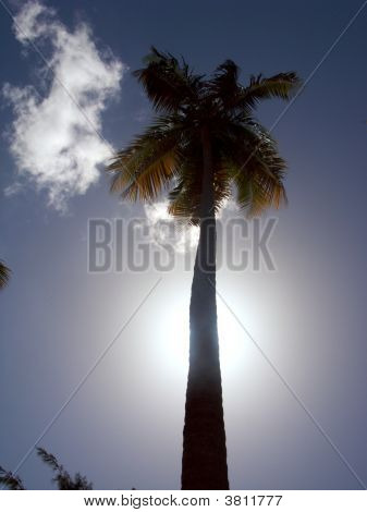 Praia Luquillo