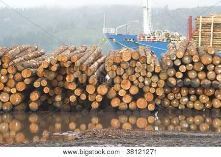 บันทึกต่อเรือเบาชวน
