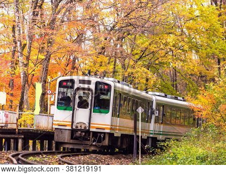 Autumn fall foliage with white train commuter in Fukushima Japan