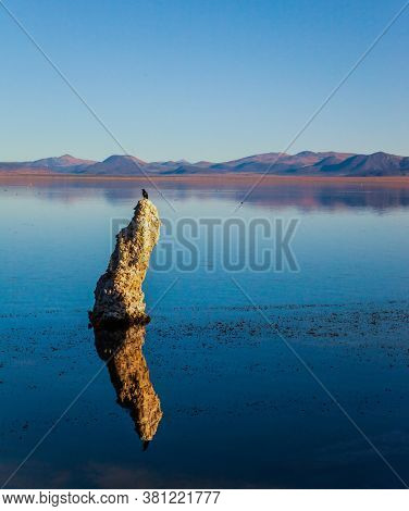 Birds on the lake. Picturesque Mono lake. The columns-remains of 
