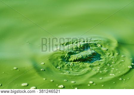 Environmental Water Pollution. Polluted River - Dirty Green Water, Garbage, Waste And Trash. Harmful