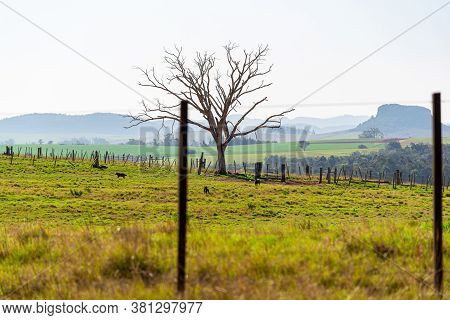 Rural Landscape Of The South American Pampas On The Borders Of Brazil, Uruguay And Argentina. Visual
