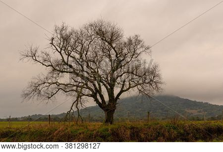 Rural Landscape Of The South American Pampas On The Borders Of Brazil, Uruguay And Argentina. Visual