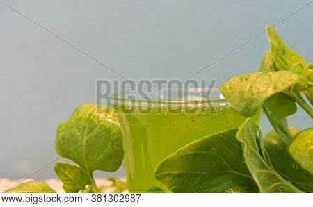 Spinach Detox Juice ((spinacia Oleracea) On Blue Background