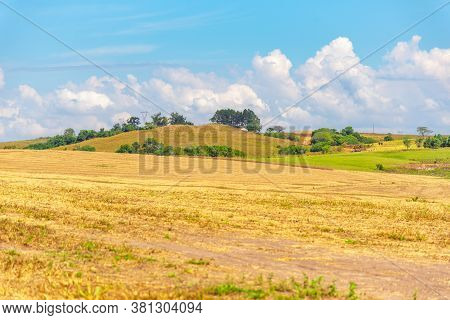 Soybean Cultivation Fields In Southern Brazil After Summer Harvest