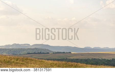 Rural Landscape In Southern Brazil Pampa Biome Area And Livestock Fields