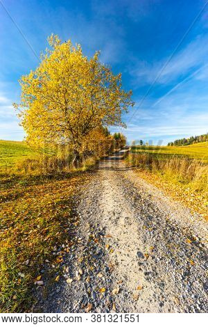 road with autumn tree near saddle Beskyd in Slovakia
