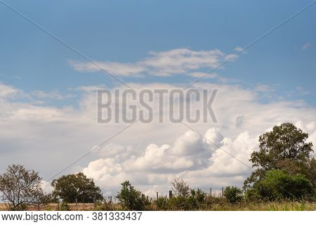 Pasture And Livestock Fields In The State Of Rio Grande Do Sul In Brazil