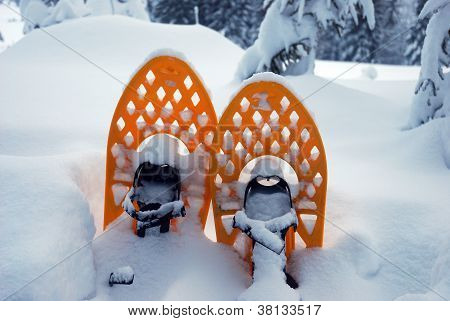雪の中でスノーシュー