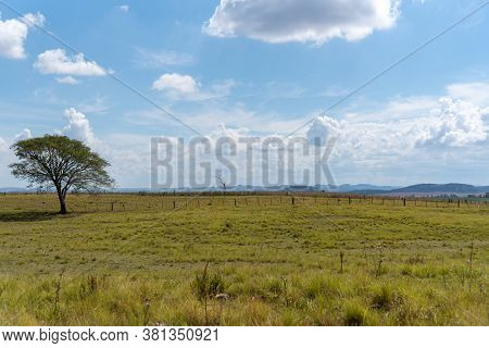 Landscapes Of Rural Livestock Fields In The Pampa Biome Region In Southern Brazil