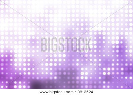พื้นสีขาว และสีม่วงเร่าร้อนมากมายหลังอ่อน