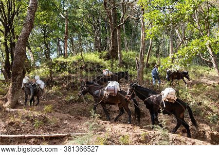 February 2019. Mules At The Foot Of The Baoxiang Temple Is Also Called The Shibao Temple, Which Is L