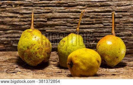 Fresh Fruits Of Pear (pyrus Communis L. Pear Is The Edible Fruit Of The Pear, A Tree Of The Genus Py