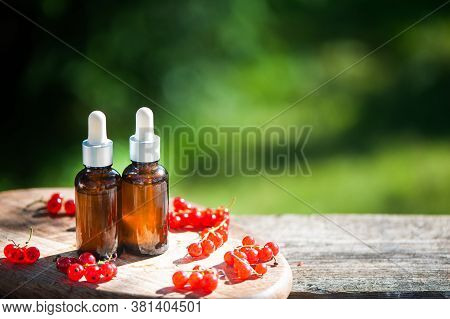 Bottles With Red Currants Oil, Fresh Berries And  Leaves On A Natural Green Background. Bioproduct, 