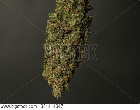 Dry Strawberry Akeil Variety Of Marijuana Flower With Black Background