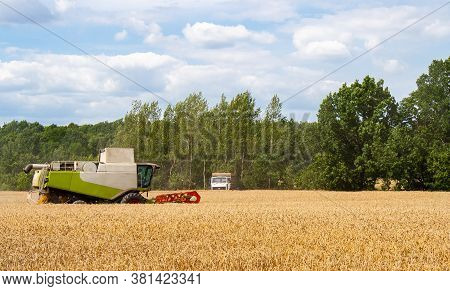 Combine Harvester Harvests Ripe Wheat In Field, Against Of Truck, Trees And Beauty Blue Sky With Clo