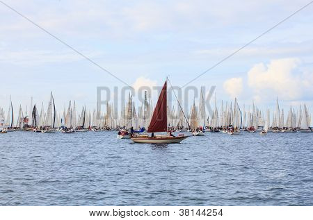 Barcolana regata, Trieste