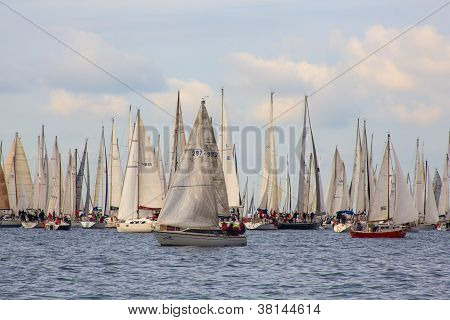 Barcolana regata, Trieste