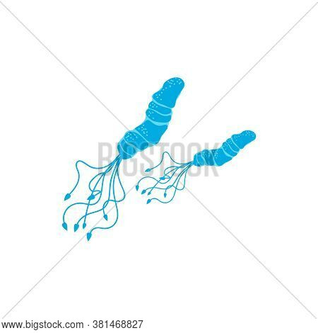 Flagellum Spirilla Microscopic Bacteria. Bacterial Microorganisms, Epidemic Pathogenic Cells, Viruse