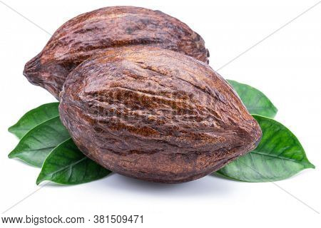 Cocoa pods with cocoa leaves isolated on a white background.