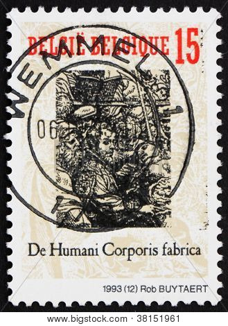 Dettaglio Belgio 1993 francobollo da libro di testo di anatomia umana