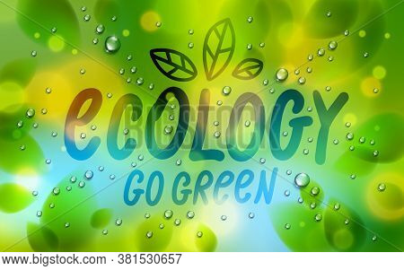 Ecology Word Drawn On A Window, Fresh Green Leaves And Water Rain Drops Or Condensate Macro, Vector 
