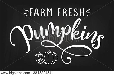 Farm Fresh Pumpkins - Harvest Fall Festival Design For Markets, Restaurants, Flyers, Cards, Invitati