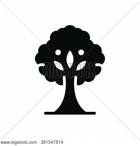 Black Solid Icon For Tree Plant  Foliage Greenstuff Sapling Seedling Timber Ecology Nature