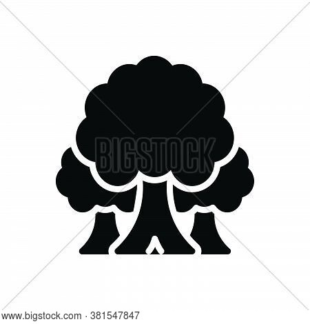 Black Solid Icon For Tree Plant  Foliage Greenstuff Sapling Seedling Timber Ecology Nature Forest