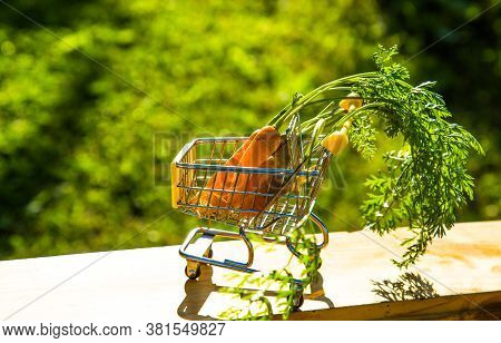 Resh Beet In A Basket On Green Grass. Selective Focus. Shopping Food In Supermarket