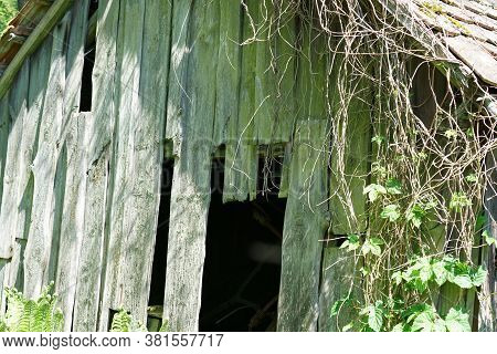 Abandoned Place In Summer Photographed With Natural Light