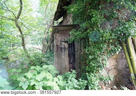 Abandoned Place In Summer Photographed With Natural Light