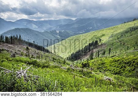 Timber Logging In Demanovska Valley, Low Tatras Mountains, Slovak Republic. Deforestation Theme. Sea