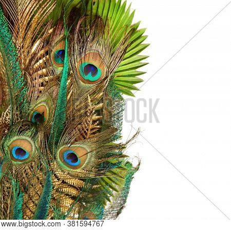 Luxurious peacock tail decorated with golden feathers and leaves. Green palm leaves. Carnival