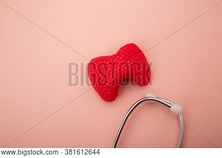 Concept Of Diagnosis And Detecting Diseases Of Endocrine System Organ - Thyroid Gland. Stethoscope A