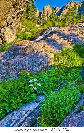 Cascade Creek Tyndal all'alba