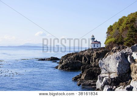 Rannikolla San Juan Island, Washington State