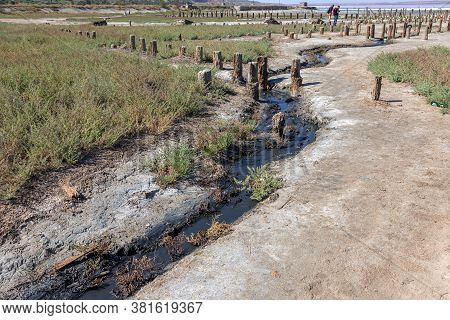 Spilled Streams Of Liquid Crude Oil Flow Down Drainage Ditch Into Public Body Of Water. Environmenta