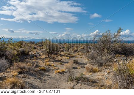 View Of Viedma Lake In Patagonia, Argentina