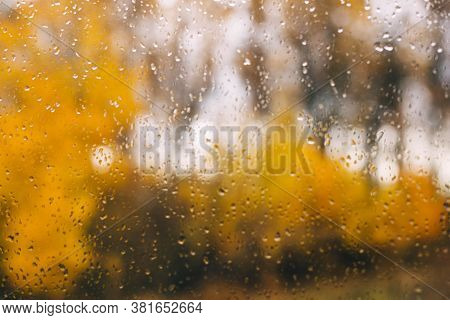 Rain Drops On The Window, Golden In The Fall. Rainy Season. Storm, Hurricane, Downpour.