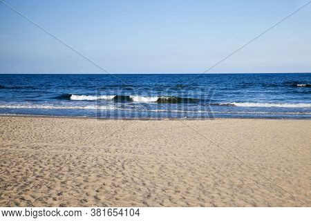 The Coast Of The Baltic Sea In The Summer, The Month Of August, The Beautiful Nature, And The Restle