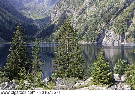 Lauvitel Lake And Pine Tree Under The Slopes Of Parc Des Ecrins