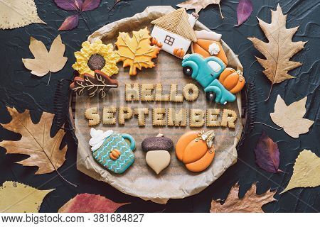 Hello September. Multicolored Autumn Cookies On A Black Background. Autumn Concept