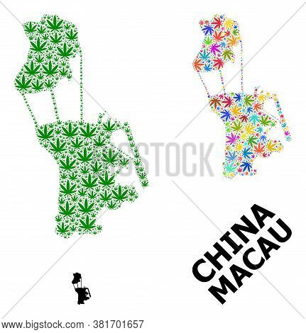 Vector Weed Mosaic And Solid Map Of Macau. Map Of Macau Vector Mosaic For Cannabis Legalize Campaign