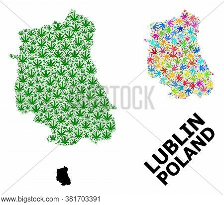 Vector Hemp Mosaic And Solid Map Of Lublin Province. Map Of Lublin Province Vector Mosaic For Hemp L